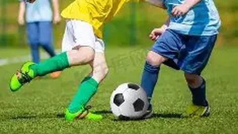 【智慧引领】“双结合”奠定我国辉煌成就基础