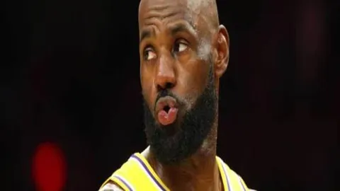 kaiyun·开云（中国）